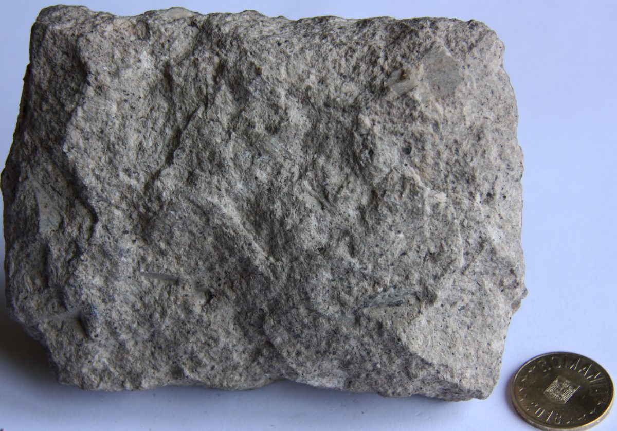 Trahit